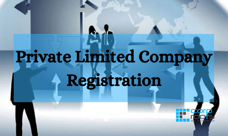 Private Limited Company Registration